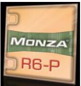 　　Monza R6-P芯片