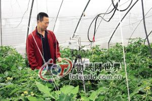 天津市北辰区种菜用上物联网 点鼠标就能浇水施肥