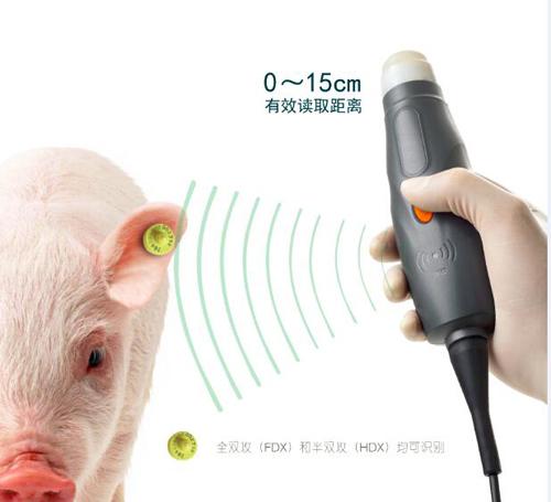 世界首台可以读低频电子耳标的兽用超声仪器面世