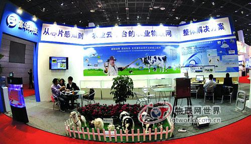 物联网发展:既要雷声大,也要雨点大