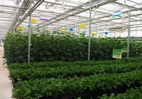 重庆农资行业首度引入物联网技术 “网上庄稼医院”6月底可望上线