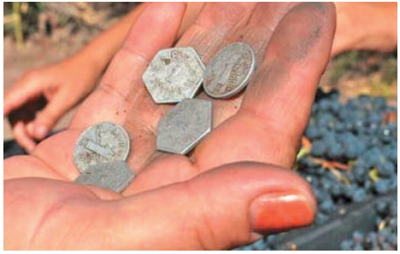 诺顿酒庄用RFID技术记录员工采摘产量