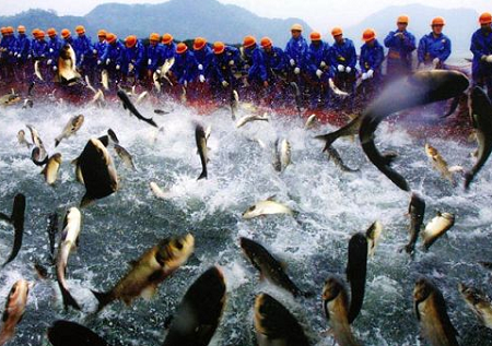 山东“海上粮仓”建设正式启动 “互联网+”促渔业发展