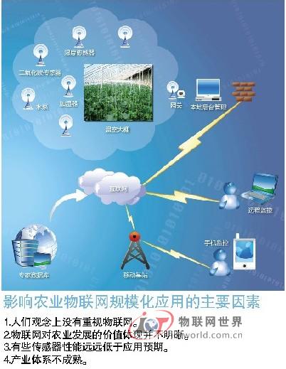 农业物联网试点不计成本 规模化应用尚需时日