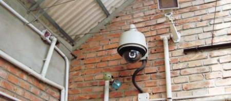 番茄联合国的智慧农业之道 用“农场云”轻松种菜