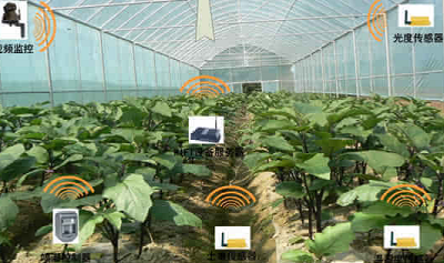 以色列农业物联网 项目落户泰州