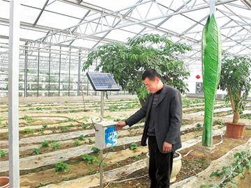 胶州首家合作社引进农业物联网控制系统