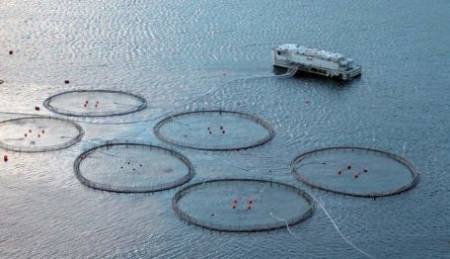 智慧农业将让农民消失 美国七成农场“触网”