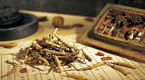 甘肃省积极推进中药材流通追溯体系建设