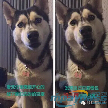 疯了一样的HCE 疯了一样的穿戴式支付