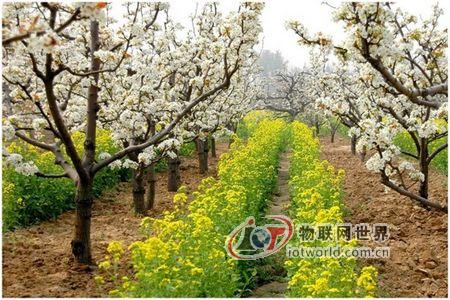 利用物联网进行健康管理