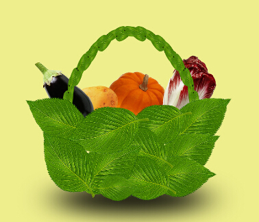 南宁市民“菜篮子”提得更安稳