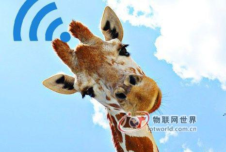冷眼看厂商扎堆智能路由器：看似热闹实无方向