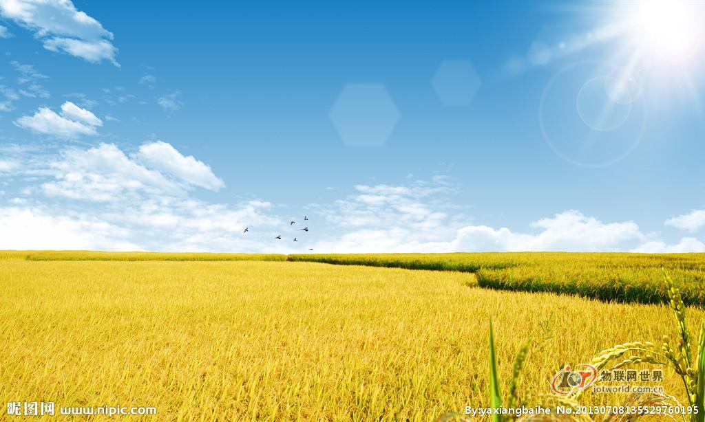 物联网如何能提高农产品产量? 物联网世界网