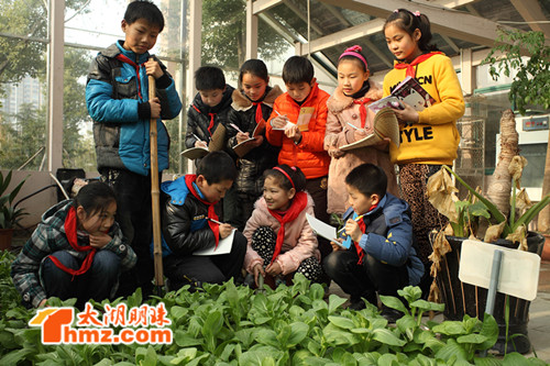 物联网走进无锡小学