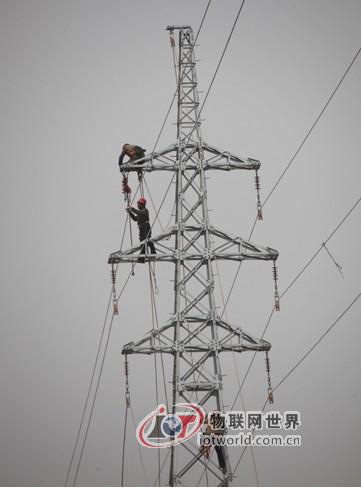 国家电网山东滨州供电公司电建工人正在施工