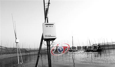 沱湖渔民“撒开”物联网