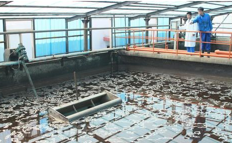 利用物联网技术监测生态环境