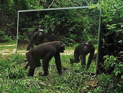 人工智能超越人类会如何？计算机或可自我复制