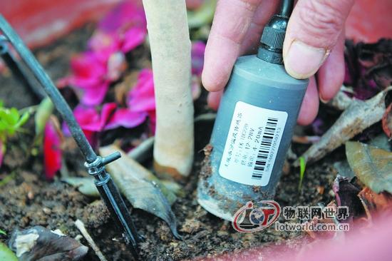 传感器实时监测土壤湿度、温度。