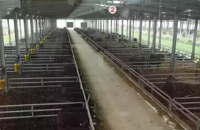 云南马龙县建“云岭牛”产品可追溯体系