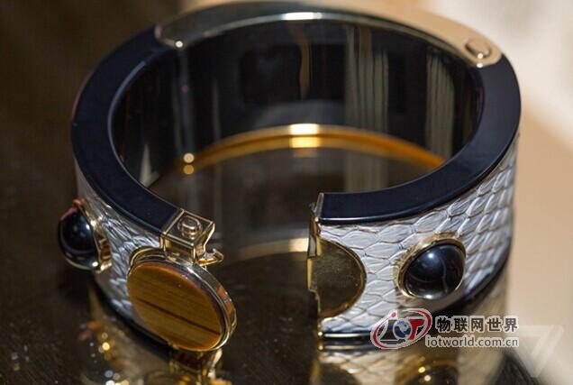 英特尔推豪华版可穿戴设备 售价495美元 物联网世界网