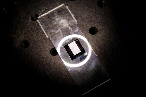 密歇根大学一团队开发可穿戴技术用于疾病监测