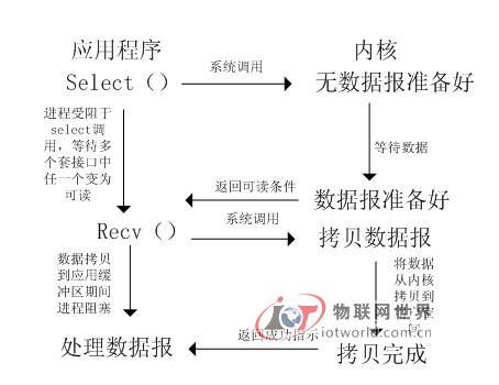 Select模型