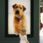 巴特西猫狗之家推出基于RFID技术的交互式数字广告