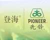 登海先锋嘉年华