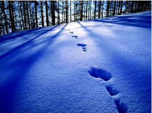 智慧城市建设如火如荼面对困境如何解决